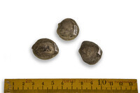 F 09469
<br/>
<br/>
<em></em>